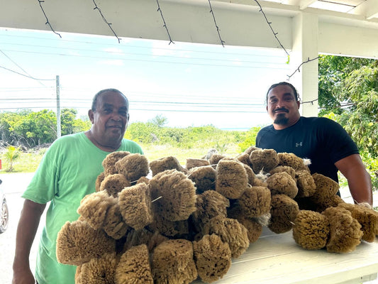 What is a Bahamian sea sponge?