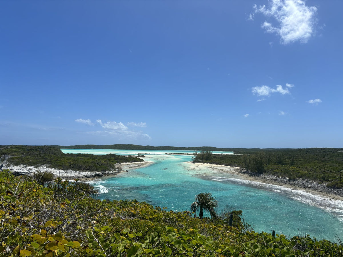 A turquoise creek winding through green scrub on Long Island, Bahamas